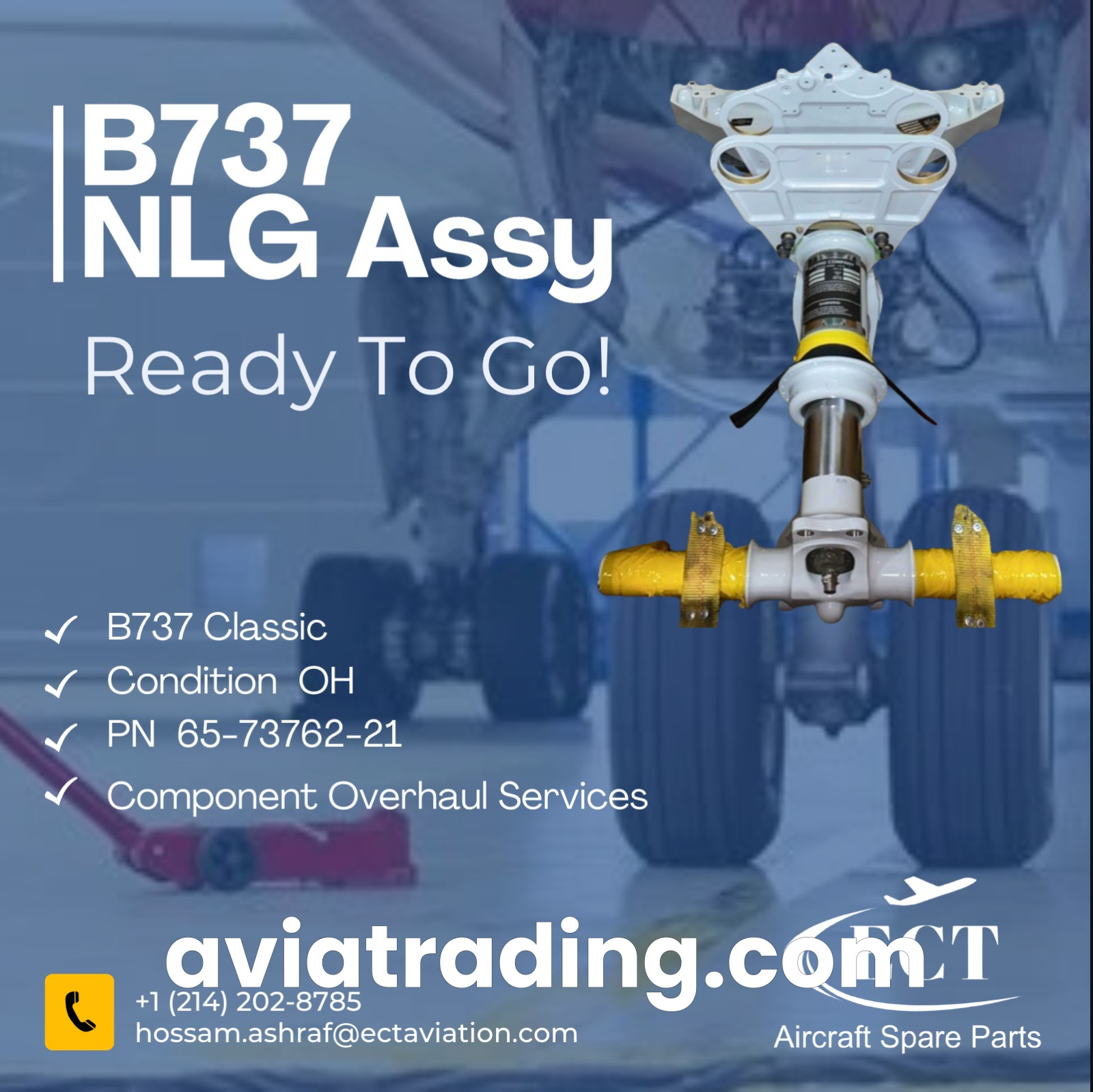 Nose Landing Gear - PN/65-73762-21
