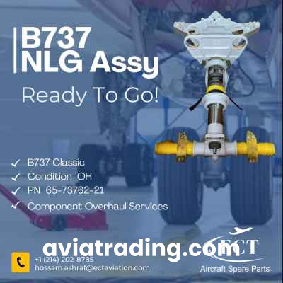 Nose Landing Gear - PN/65-73762-21