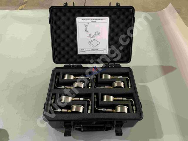 PRESSURE GAUGE EQUIPPED WITH STORAGE CASE
