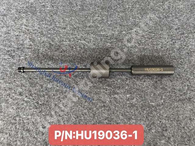 Extractor-borscope plug