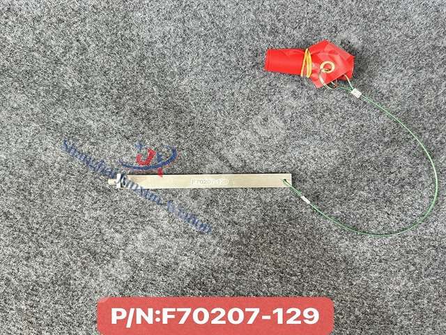 RIGGING PIN ASSY