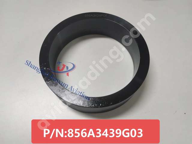 Ring,bearing,protectrive