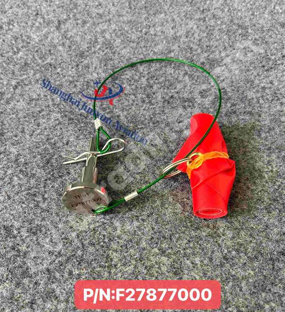 RIGGING RIGGING PIN-NLG DOOR BY PASS VA