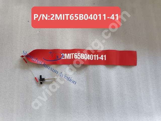 SAFETY RIG & TOW PIN NOSE GEAR/B747