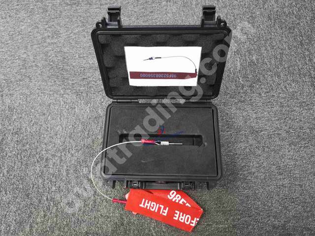 Rigging pin FWD+AFT cargo-door，interlock mechanism