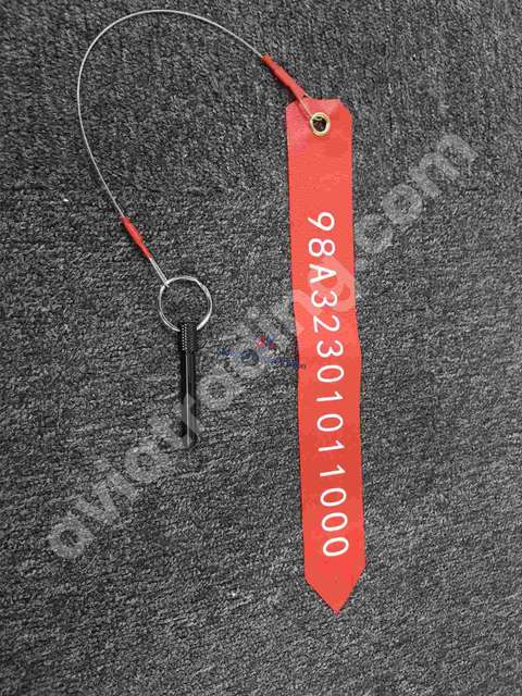 PIN RIGGING