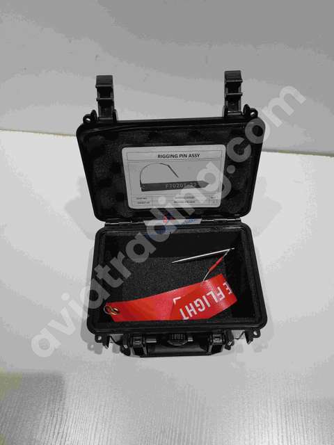 RIGGING PIN ASSY