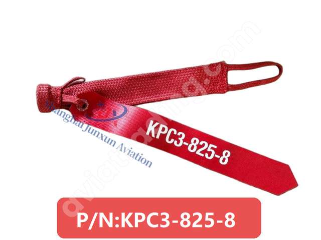 Pitot cover