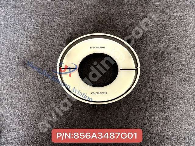 Ball enaring N°4 protector