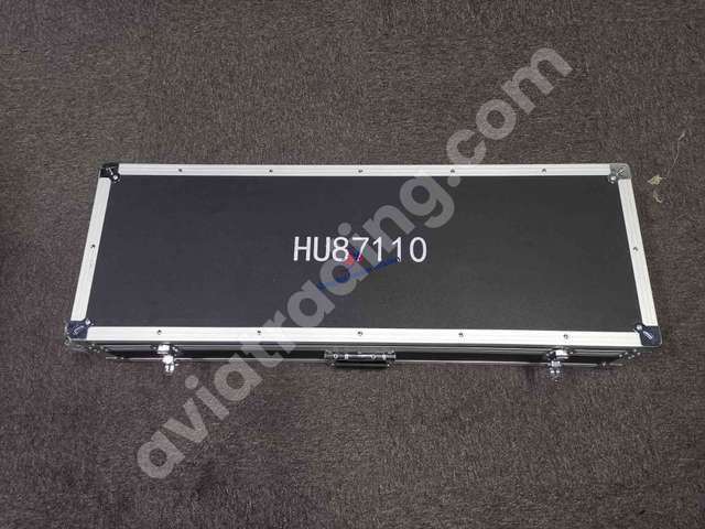 STRUT STRUT-R I, PIVOT DOOR
