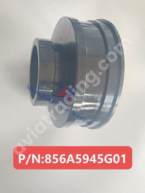 Master etalon PN 856A5945G01-JX