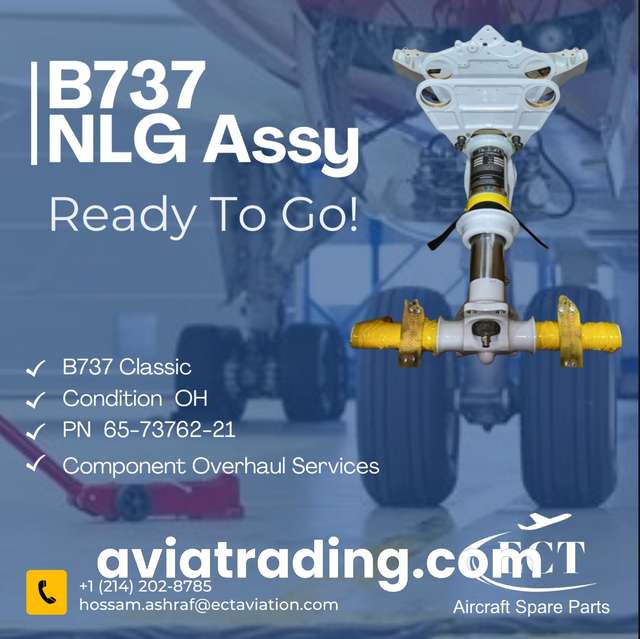 Nose Landing Gear - PN/65-73762-21