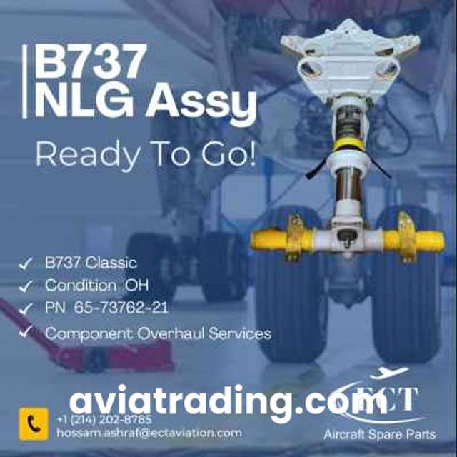 Nose Landing Gear - PN/65-73762-21